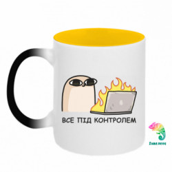 Кружки-хамелеоны двухцветные