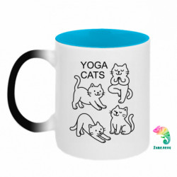 Кружки-хамелеоны двухцветные