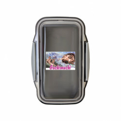 Ланч бокс Leo Gachimuchi. - FATLINE Ланч бокс Leo Gachimuchi.