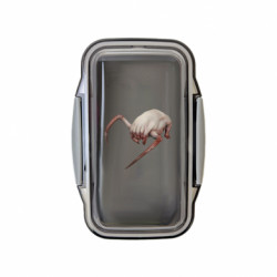 Ланч боксы Leo