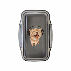 Ланч бокс Leo Кошення в навушниках - FATLINE Ланч бокс Leo Кошення в навушниках