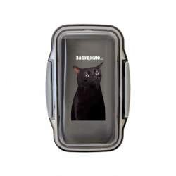 Ланч бокс Leo Мемний кіт "Засуджую" - FATLINE Ланч бокс Leo Мемний кіт "Засуджую"