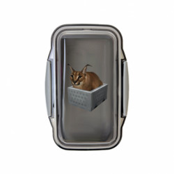 Ланч бокс Leo Шльопа в тазі - FATLINE Ланч бокс Leo Шльопа в тазі