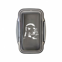 Ланч боксы Leo