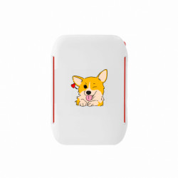 Ланч-бокси Sunny