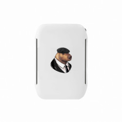 Ланч-бокси Sunny