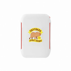 Ланч-боксы Sunny