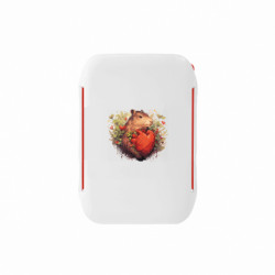 Ланч-боксы Sunny