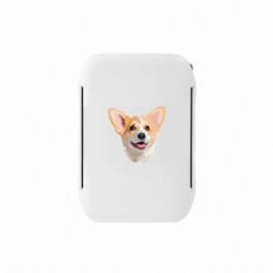 Ланч-боксы Sunny