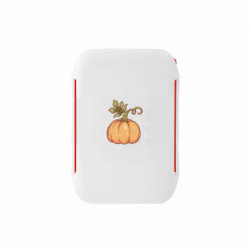 Ланч-боксы Sunny