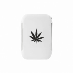 Ланч-боксы Sunny