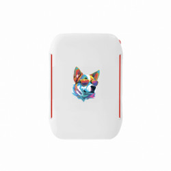 Ланч-бокси Sunny