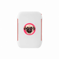 Ланч-боксы Sunny