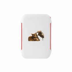 Ланч-боксы Sunny