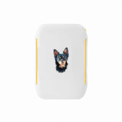 Ланч-боксы Sunny