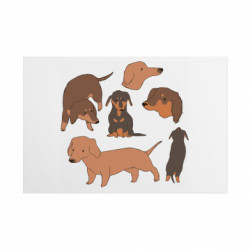 Таблички металлические 20х30 см