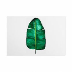 Таблички металлические 20х30 см