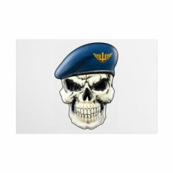 Металлическая табличка Череп. Воздушные силы Украины - FATLINE Металлическая табличка Череп. Воздушные силы Украины