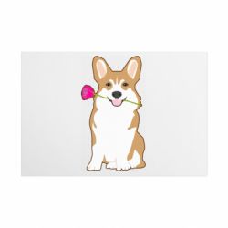 Таблички металлические 20х30 см