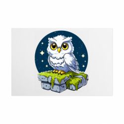 Таблички металлические 20х30 см