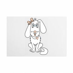 Таблички металлические 20х30 см