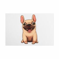 Таблички металлические 20х30 см