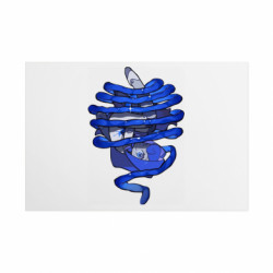 Таблички металеві 20х30 см