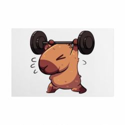 Таблички металлические 20х30 см