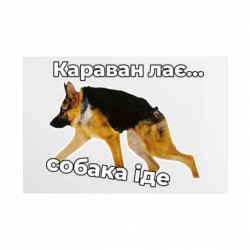 Таблички металлические 20х30 см