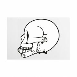 Металлическая табличка Кот с рыбьей костью. Череп - FATLINE Металлическая табличка Кот с рыбьей костью. Череп