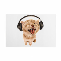 Таблички металеві 20х30 см