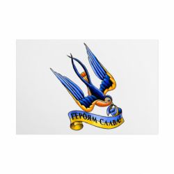 Таблички металлические 20х30 см