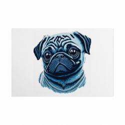 Таблички металлические 20х30 см