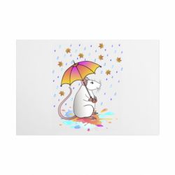 Таблички металлические 20х30 см