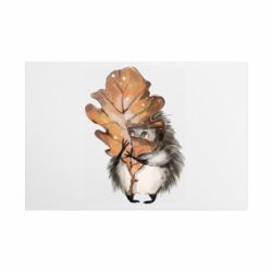 Таблички металлические 20х30 см