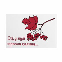 Таблички металеві 20х30 см