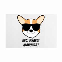 Таблички металлические 20х30 см