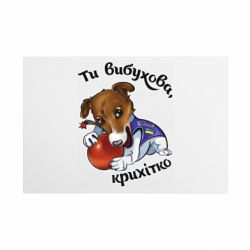 Таблички металлические 20х30 см