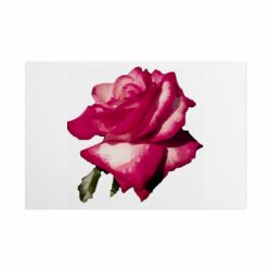 Таблички металлические 20х30 см