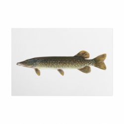 Таблички металлические 20х30 см