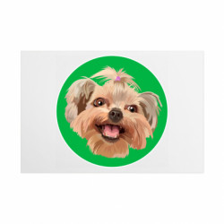 Таблички металлические 20х30 см