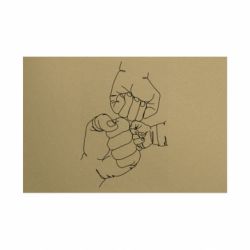 Таблички металлические 20х30 см