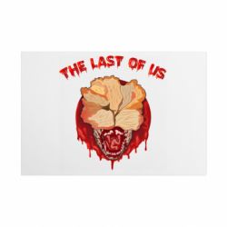 Таблички металлические 20х30 см