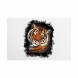 Металлическая табличка Тигр Рисунок - FATLINE Металлическая табличка Тигр Рисунок