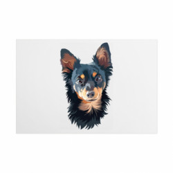 Таблички металлические 20х30 см