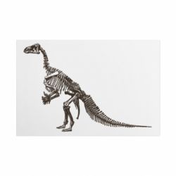 Таблички металлические 20х30 см