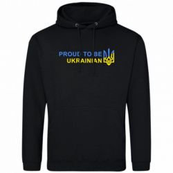 Худі чоловічі