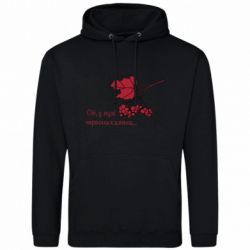 Худі чоловічі