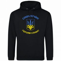 Худі чоловічі