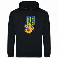 Худі чоловічі
